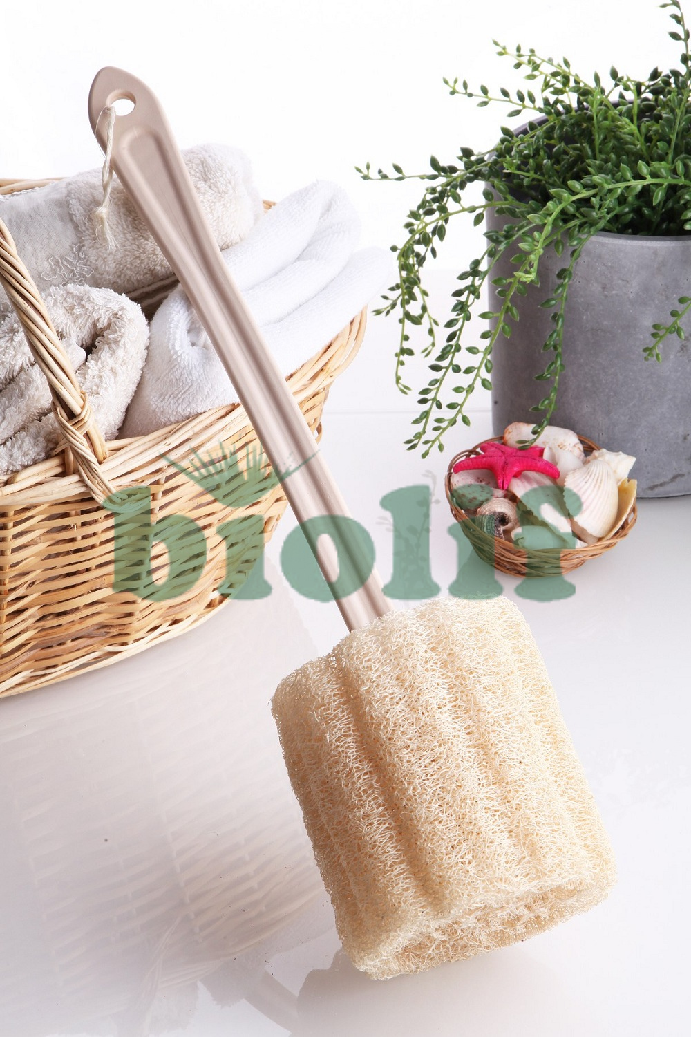 LOOFAH (KABAK)  SAPLI MASAJ LİFİ (Kod: 1042)