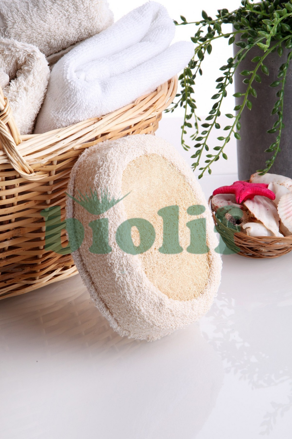 LOOFAH (KABAK)  OVAL TOMBUL LİF (Kod: 1066)