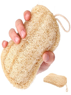KABAK (LOOFAH) BULAŞIK SÜNGERİ (Kod: 9017)
